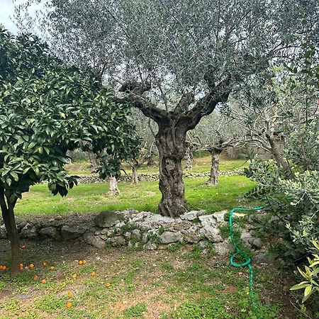 Chic Apartment In Nature, 5-Min Walk To The Beach Kalamata Esterno foto