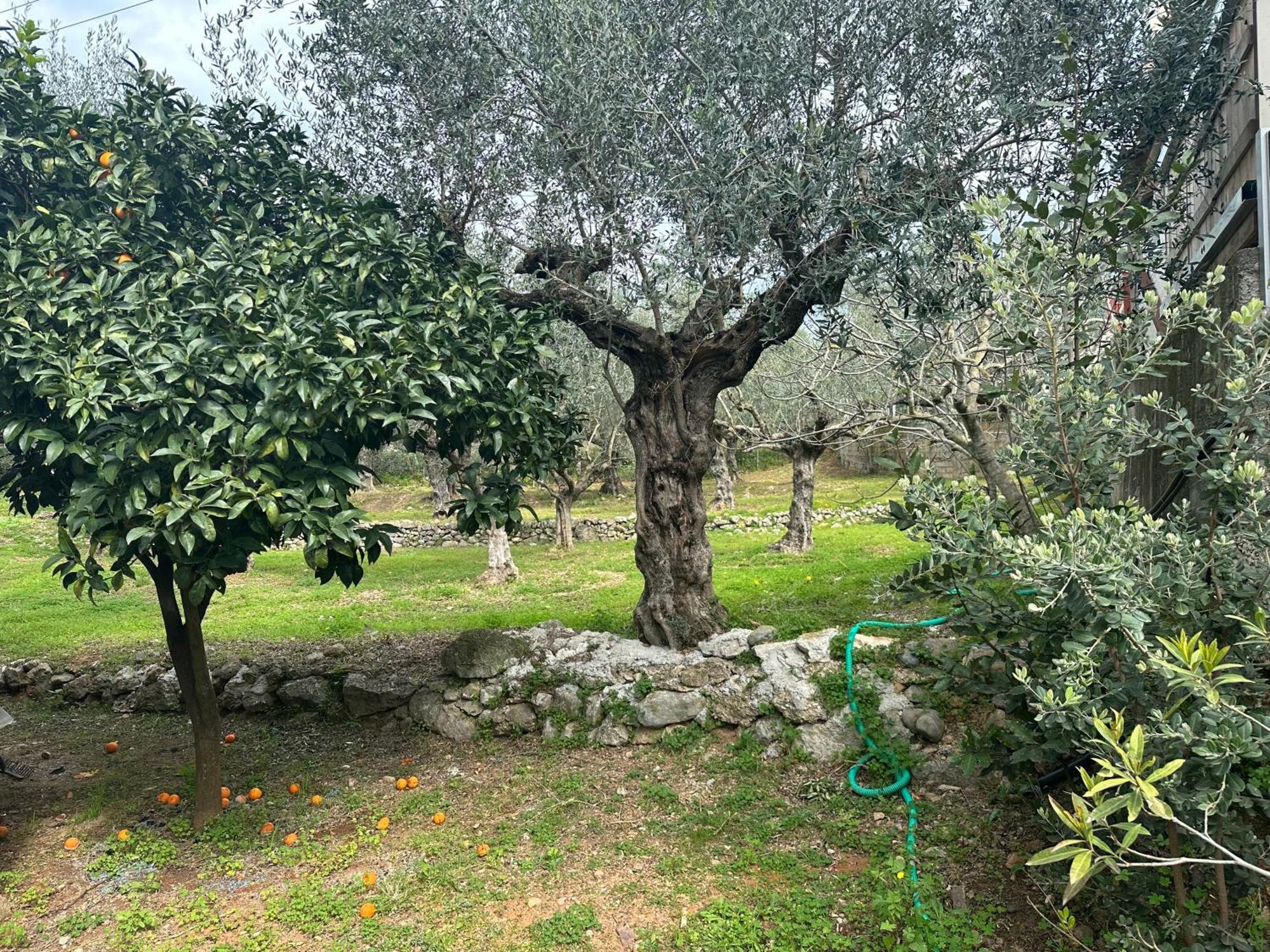 Chic Apartment In Nature, 5-Min Walk To The Beach Kalamata Esterno foto